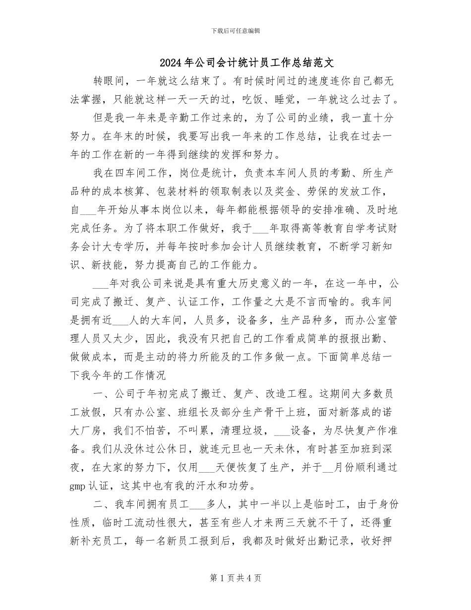 2024年公司会计统计员工作总结范文_第1页