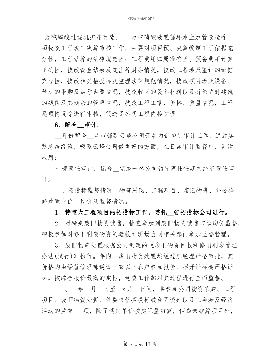 2024年公司内部审计工作总结范文_第3页