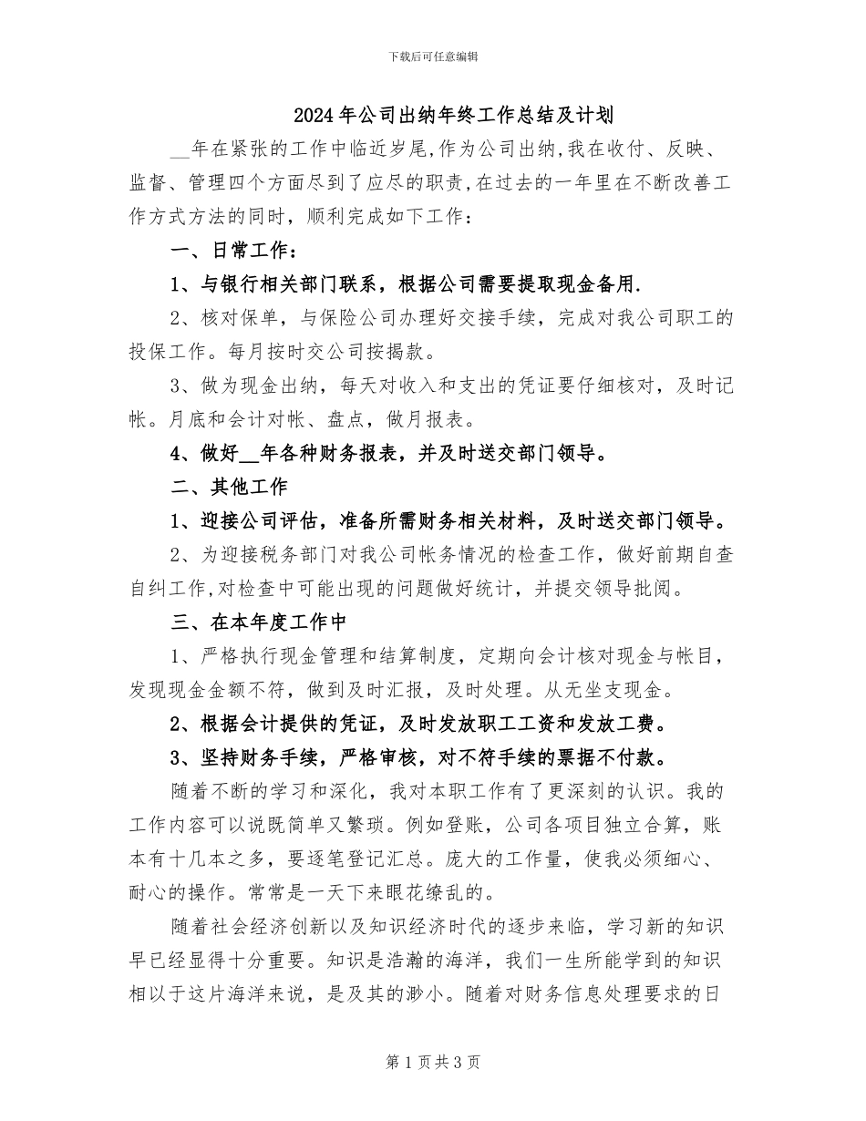 2024年公司出纳年终工作总结及计划_第1页