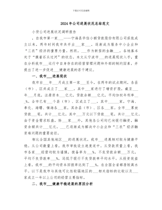 2024年公司发展状况总结范文