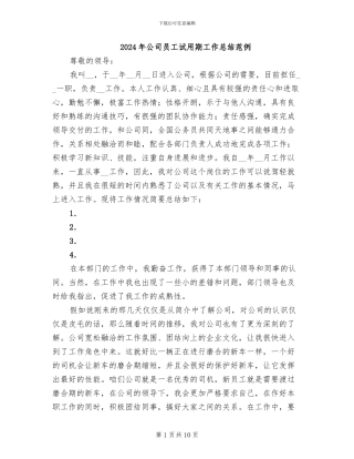 2024年公司员工试用期工作总结范例