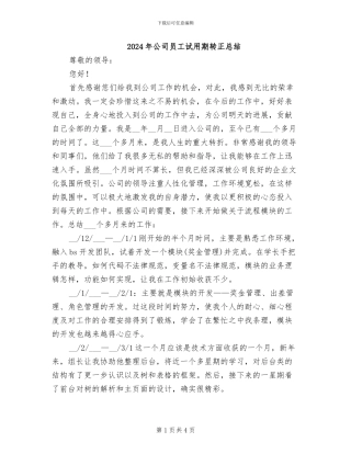 2024年公司员工试用期转正总结