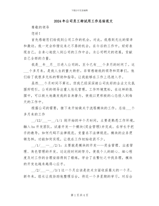 2024年公司员工转试用工作总结范文