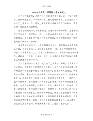2024年公司员工试用期工作总结范文