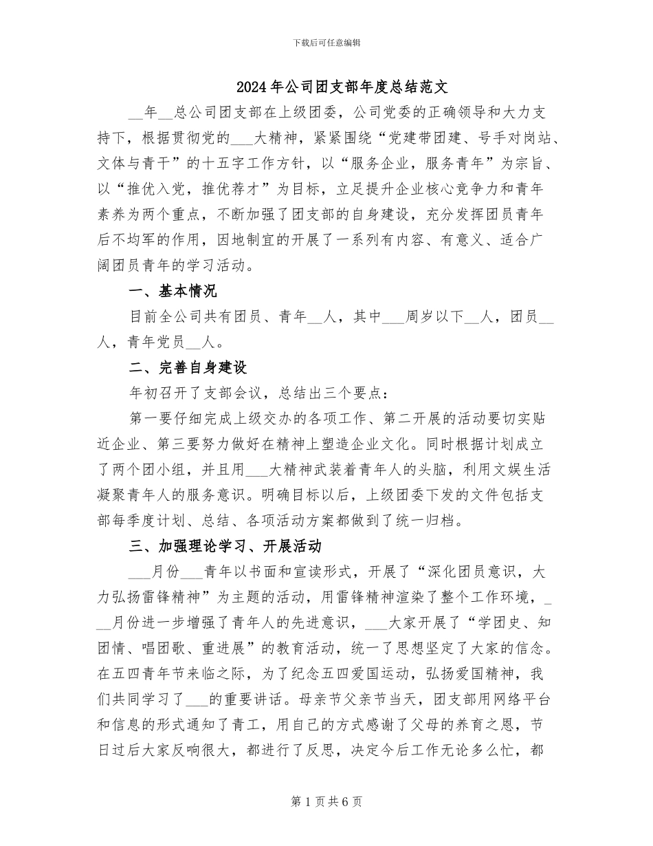 2024年公司团支部年度总结范文_第1页