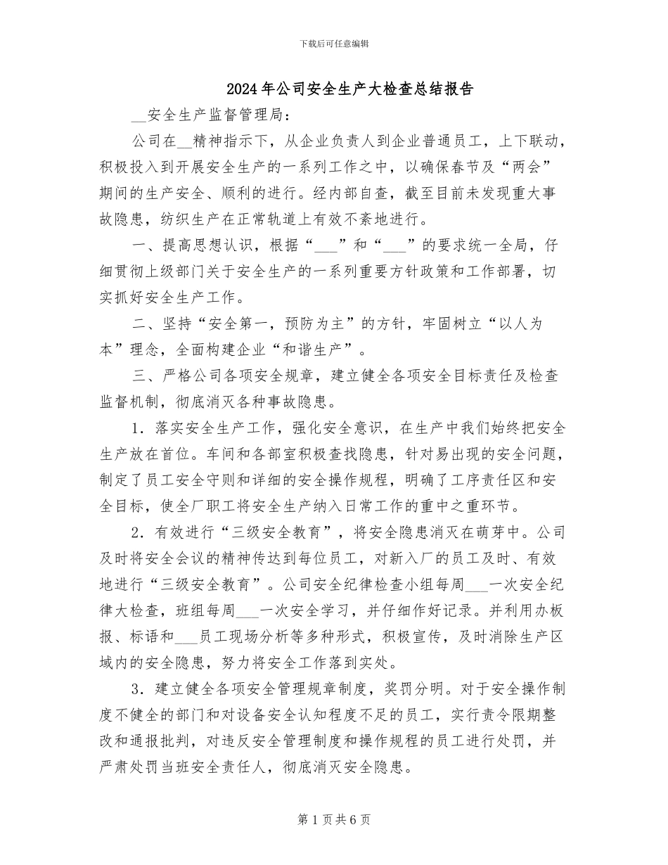 2024年公司安全生产大检查总结报告_第1页