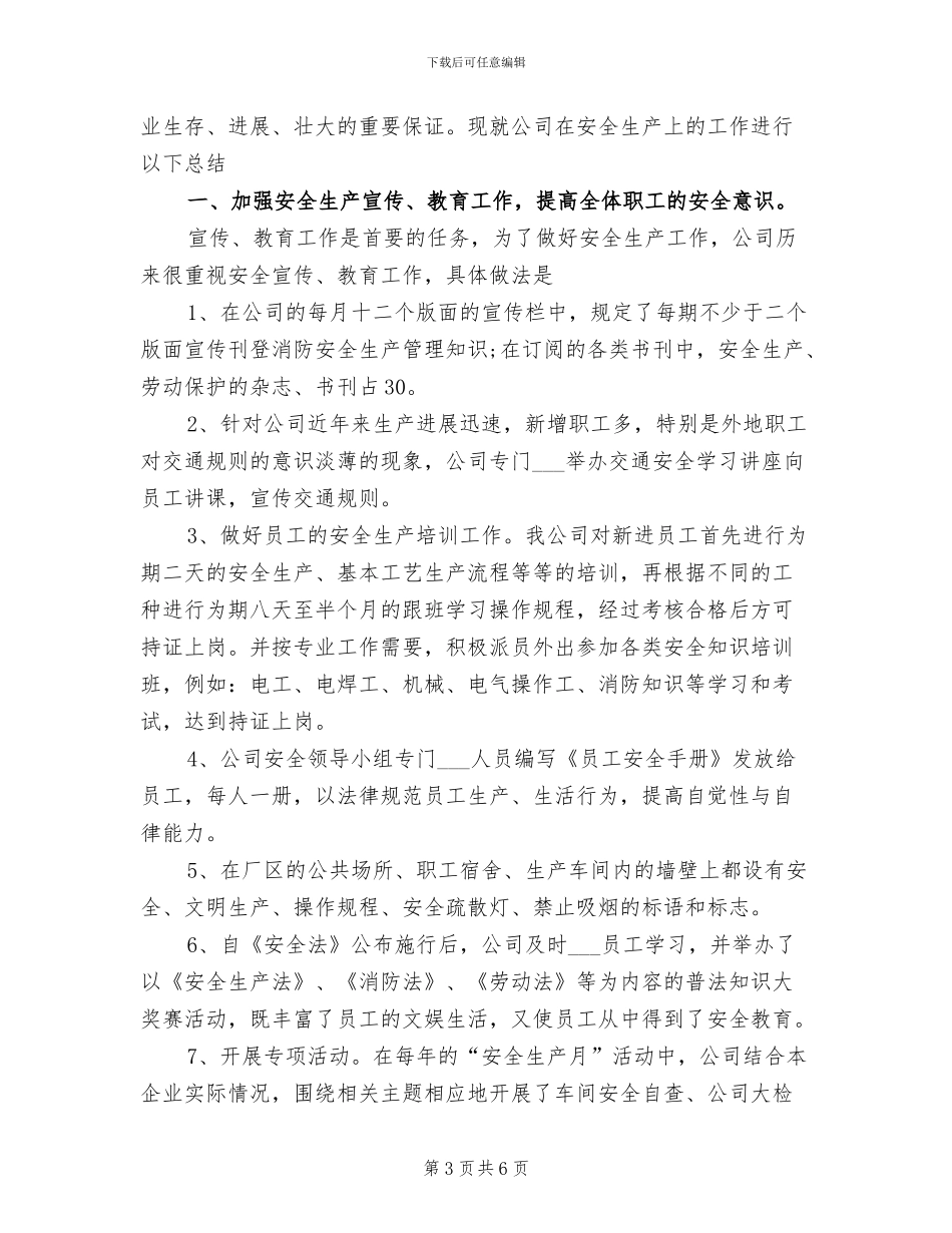 2024年公司安全生产大检查总结报告_第3页