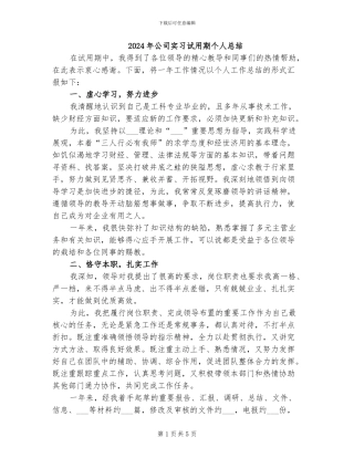 2024年公司实习试用期个人总结