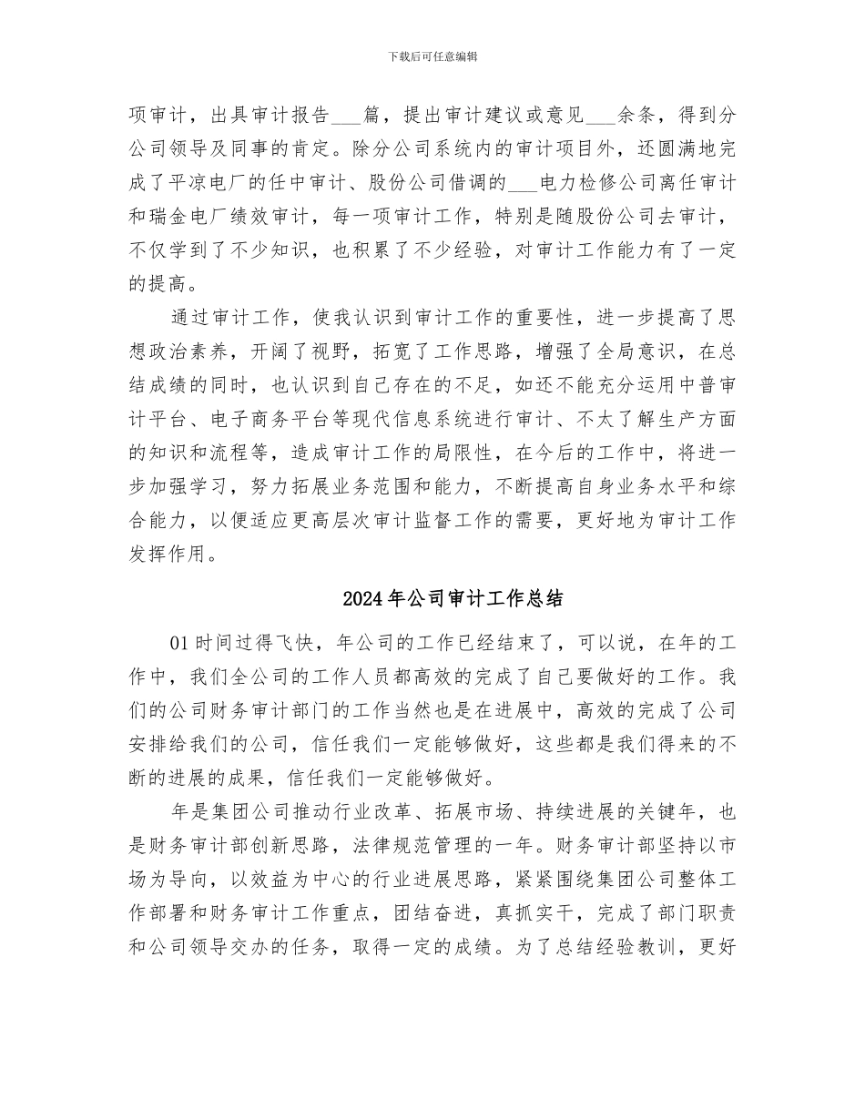 2024年公司审计员工作总结_第2页