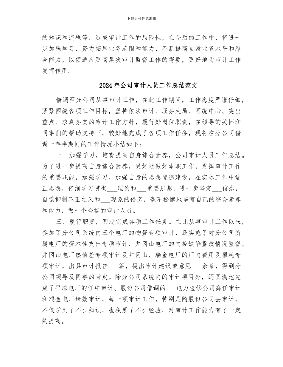 2024年公司审计人员工作总结_第2页