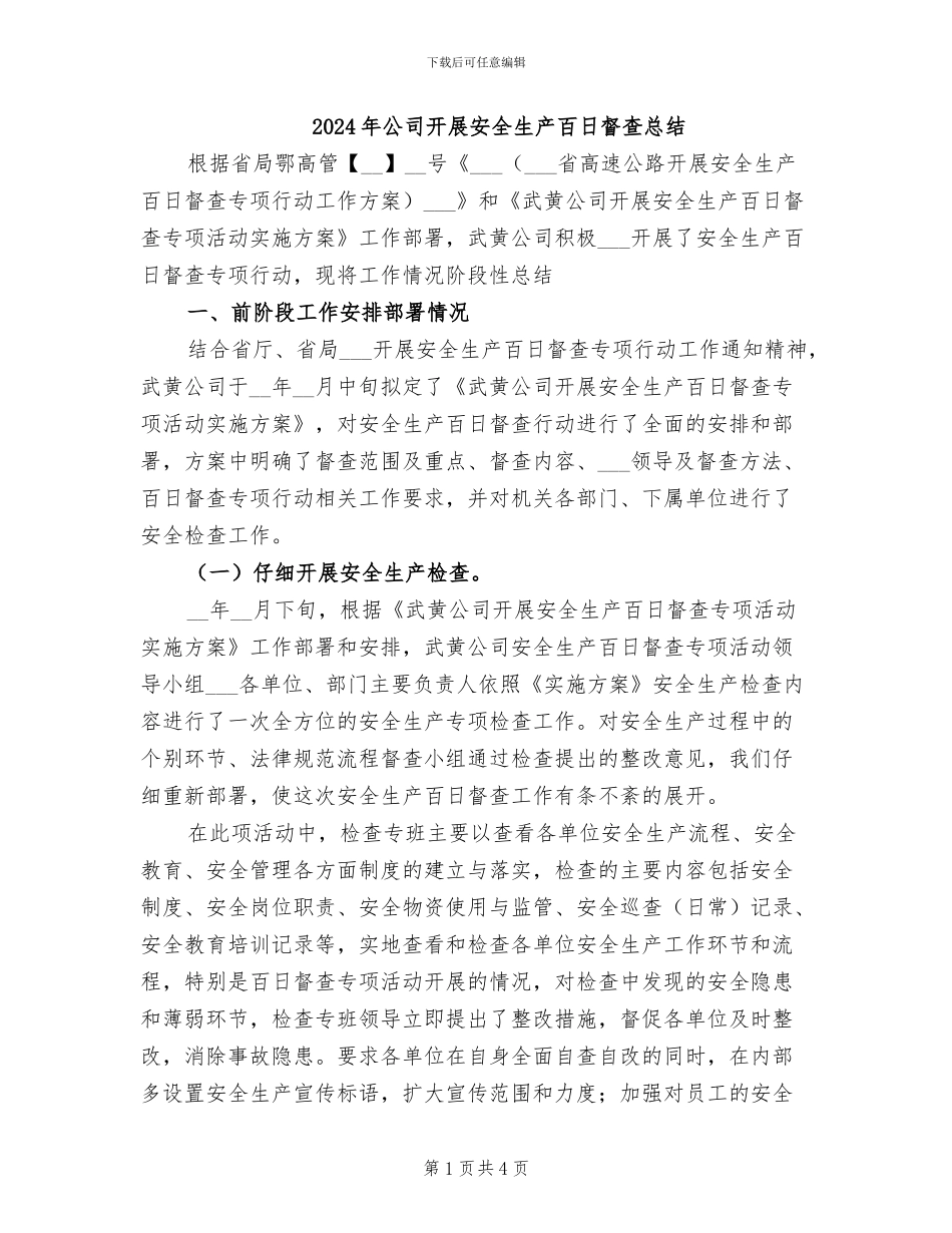 2024年公司开展安全生产百日督查总结_第1页