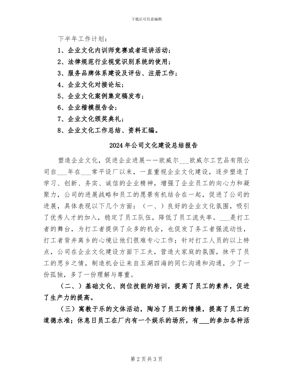 2024年公司文化工作总结_第2页