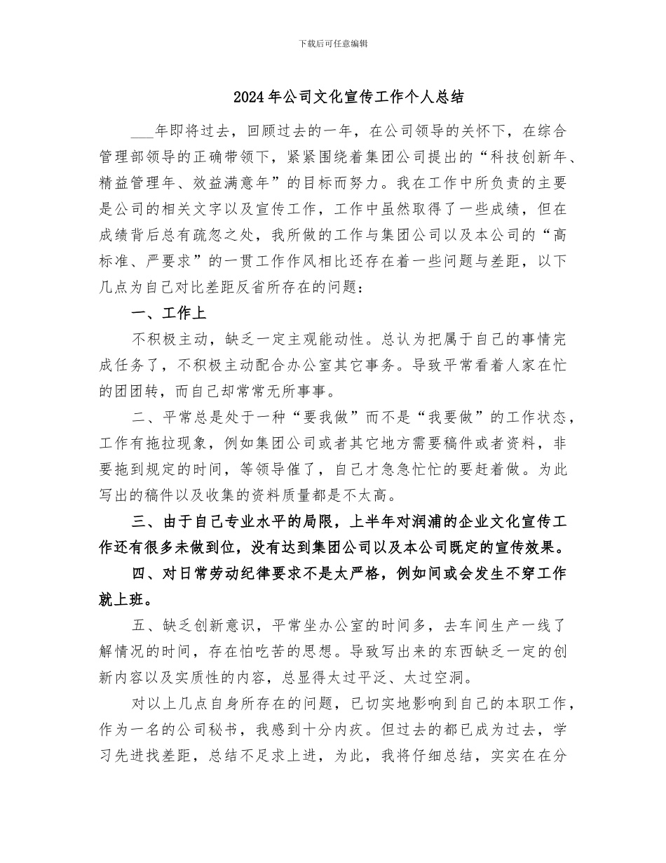 2024年公司文化宣传工作个人总结_第1页