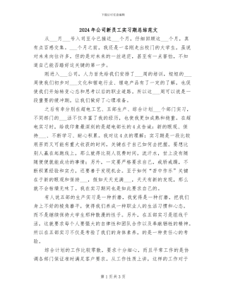 2024年公司新员工实习期总结范文