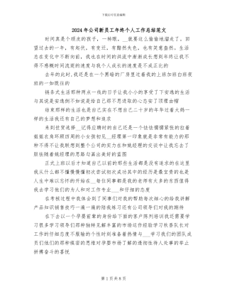 2024年公司新员工年终个人工作总结范文