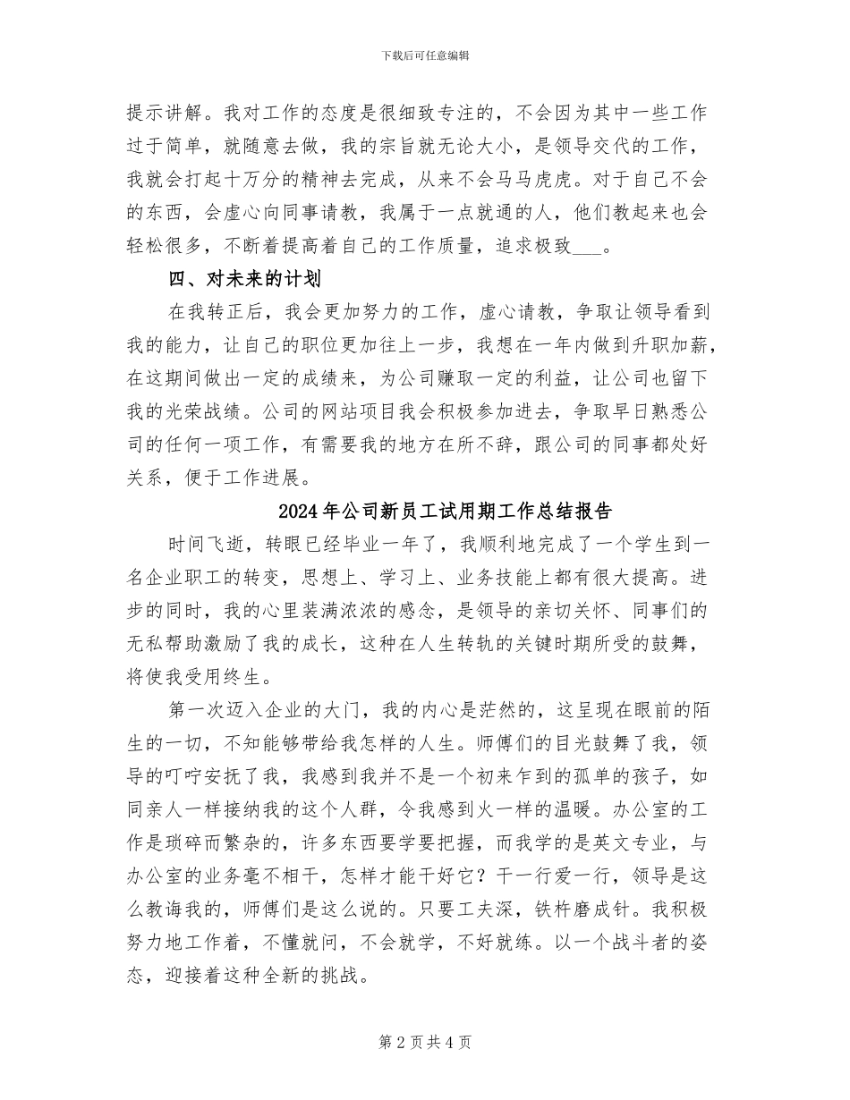 2024年公司新员工试用期工作总结_第2页