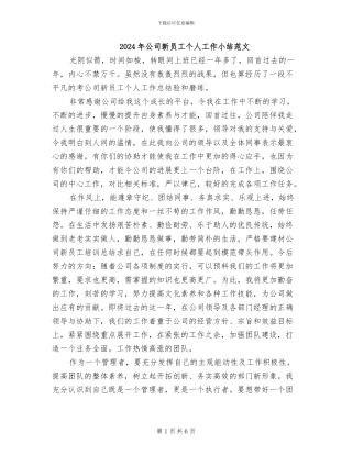 2024年公司新员工个人工作小结范文