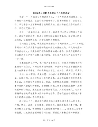 2024年公司新员工转正个人工作总结