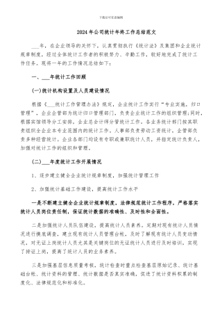 2024年公司统计年终工作总结范文