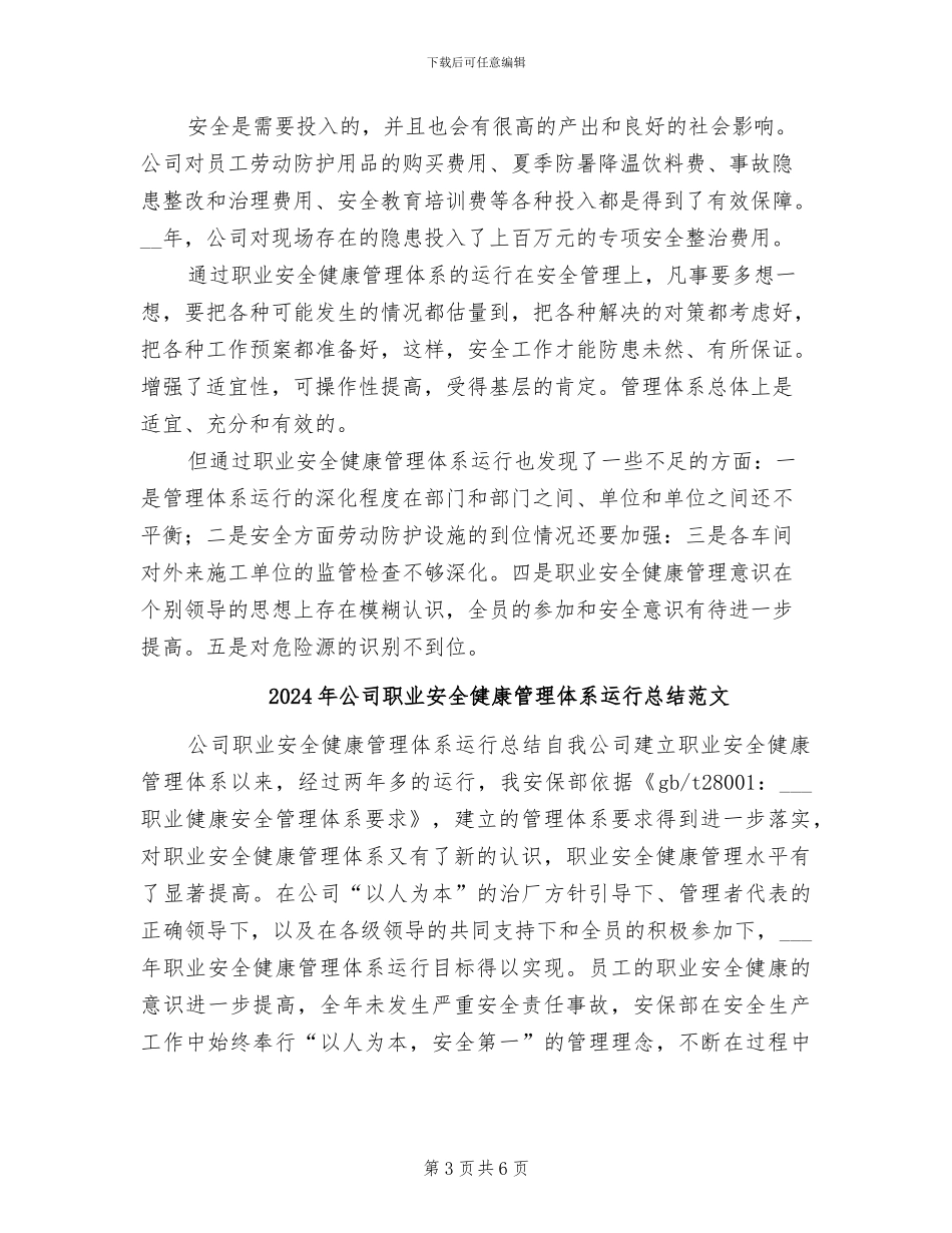 2024年公司职业安全健康管理体系运行总结_第3页