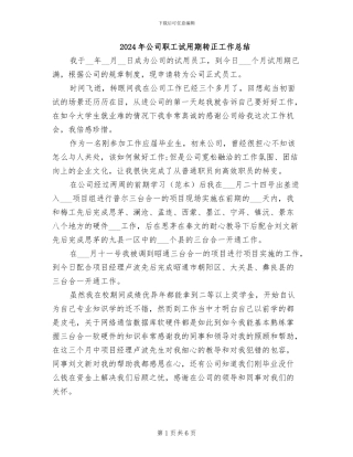 2024年公司职工试用期转正工作总结