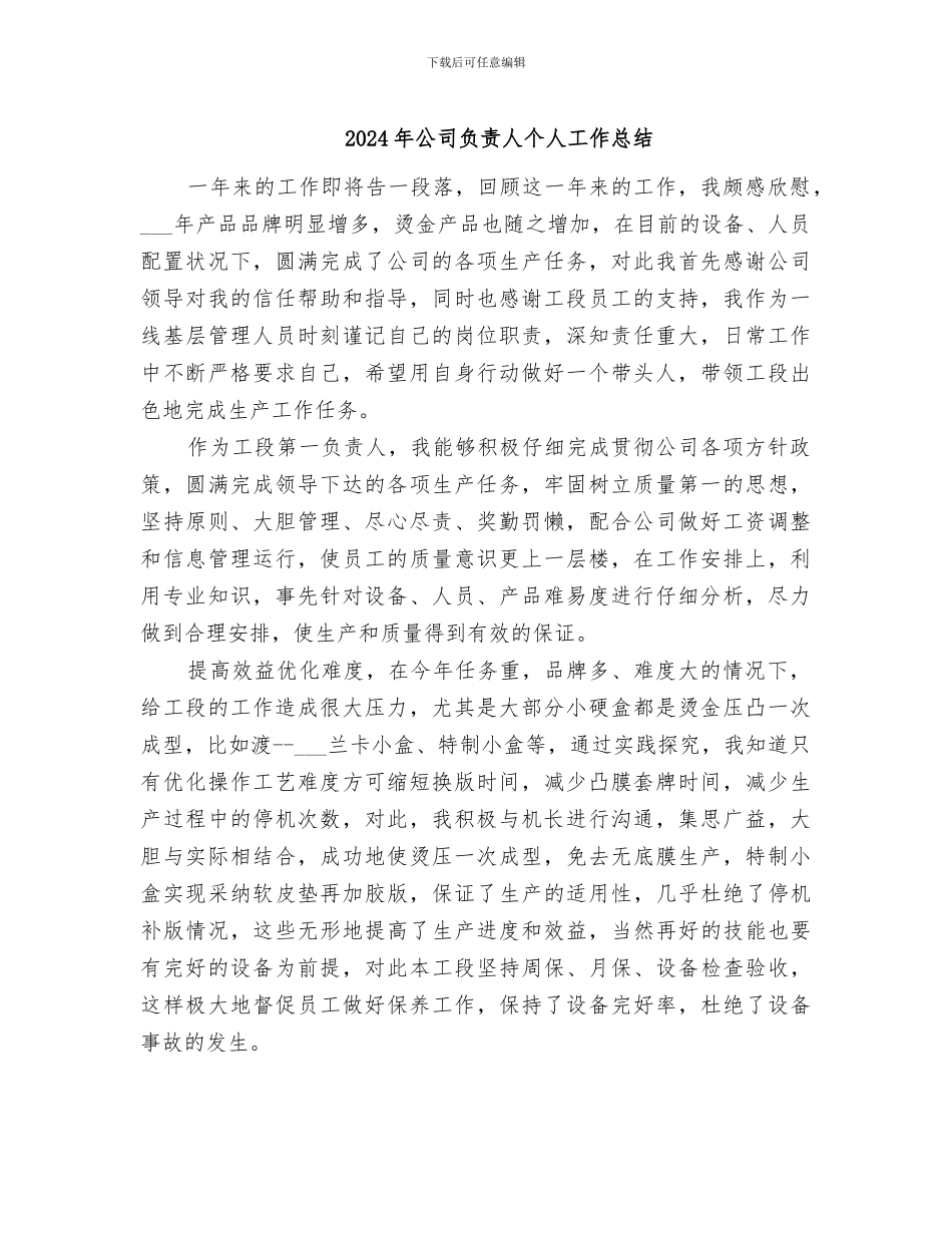 2024年公司负责人个人工作总结_第1页