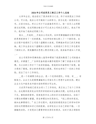 2024年公司试用员工转正工作个人总结