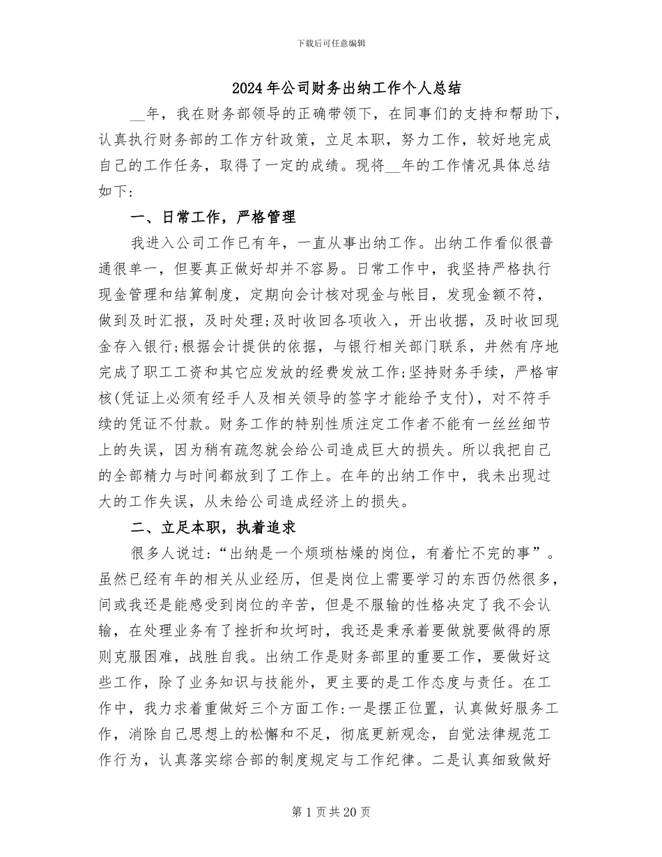 2024年公司财务出纳工作个人总结_第1页