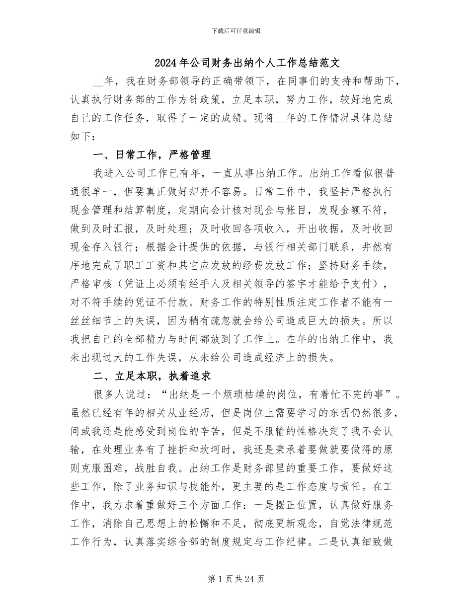 2024年公司财务出纳个人工作总结范文_第1页