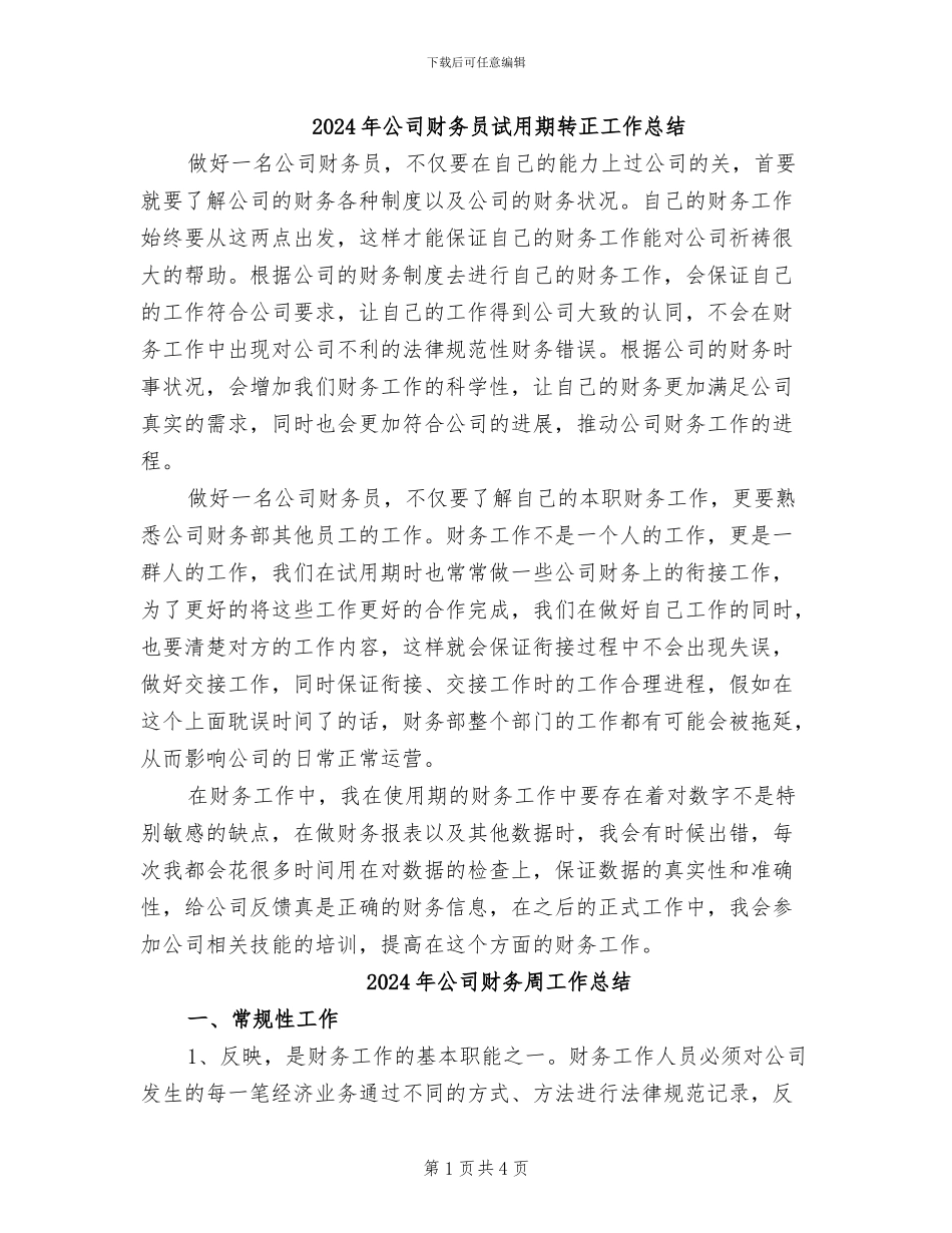 2024年公司财务员试用期转正工作总结_第1页