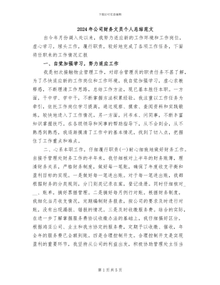 2024年公司财务文员个人总结范文