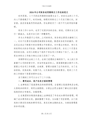 2024年公司财务试用期转正工作总结范文
