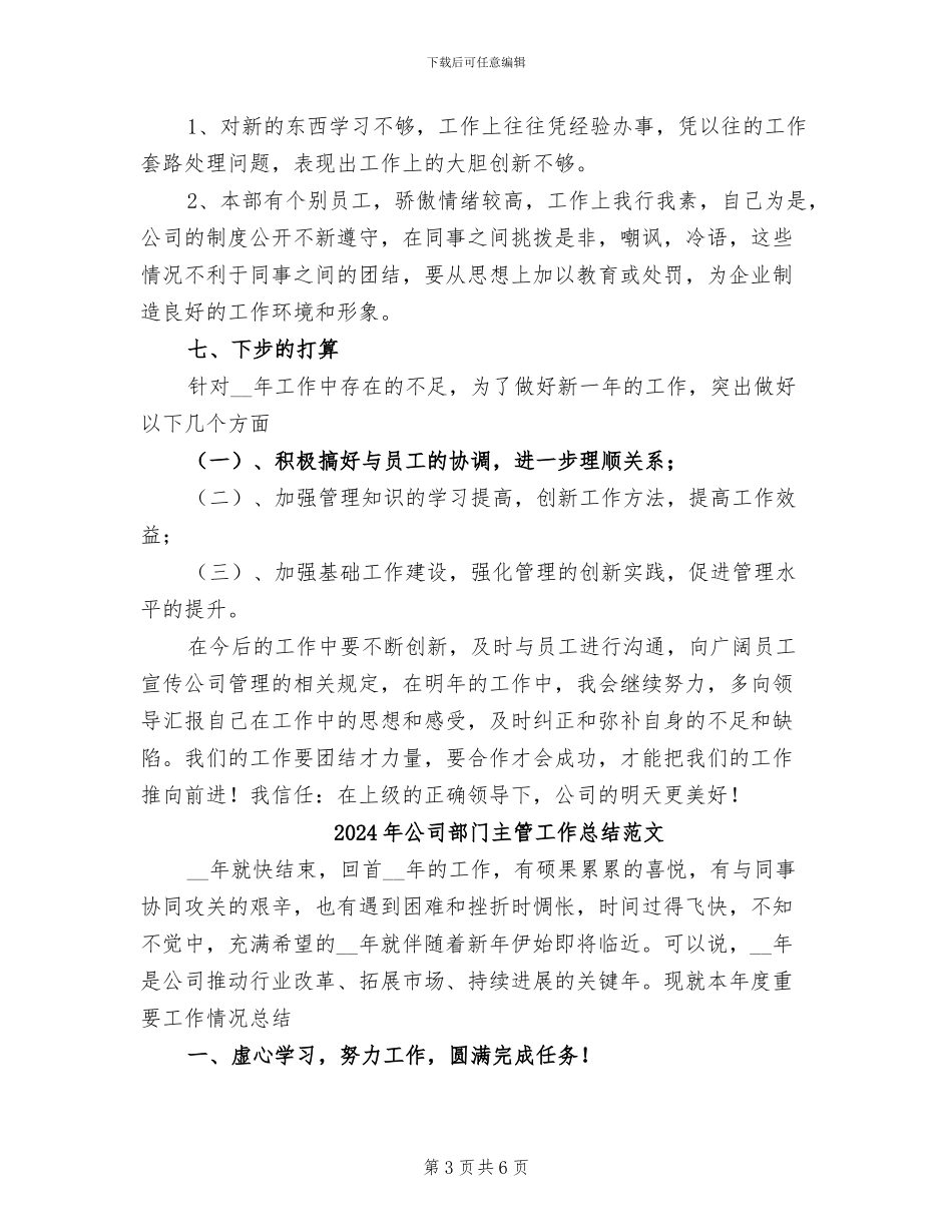 2024年公司部门主管工作总结_第3页