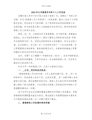 2024年公司销售员年终个人工作总结