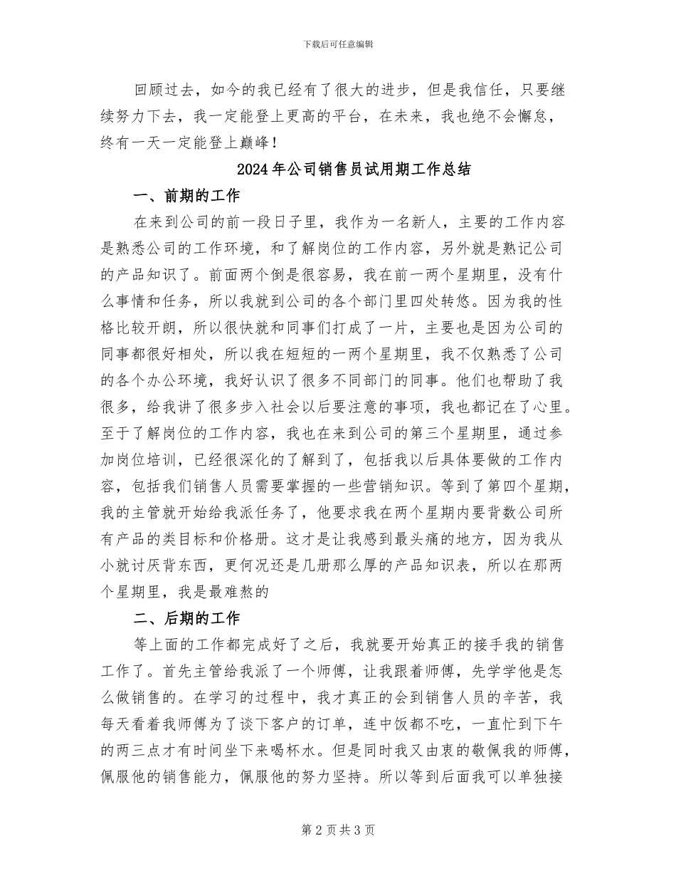 2024年公司销售员月末工作总结_第2页
