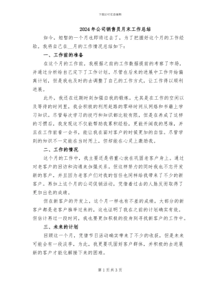 2024年公司销售员月末工作总结