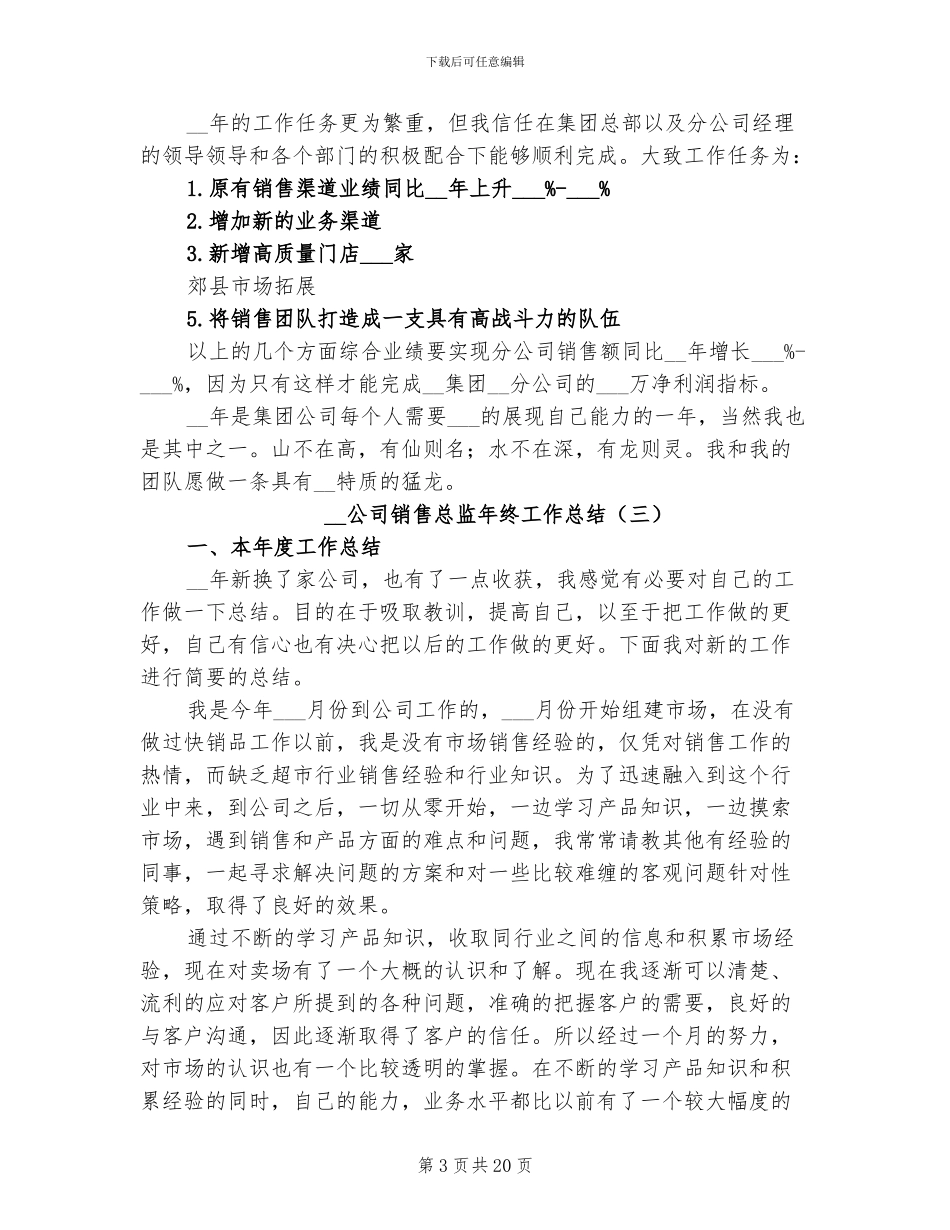 2024年公司销售总监年终工作总结_第3页