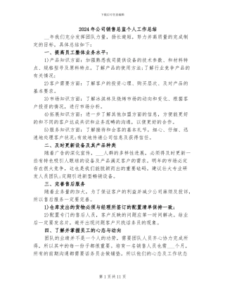 2024年公司销售总监个人工作总结