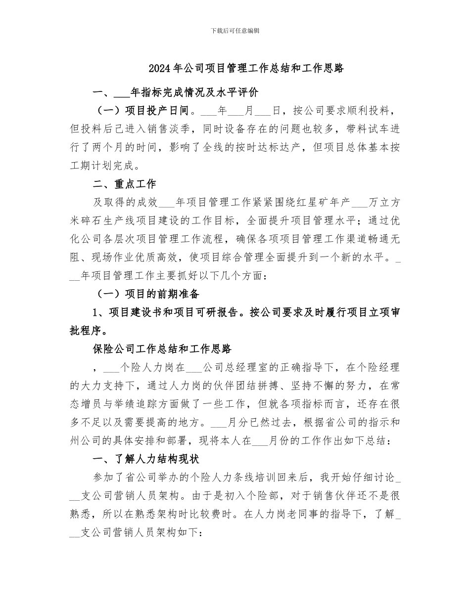 2024年公司项目管理工作总结和工作思路_第1页