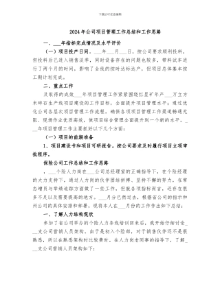 2024年公司项目管理工作总结和工作思路