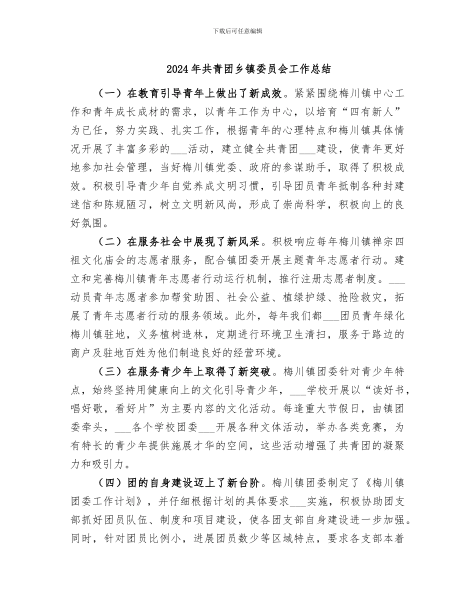 2024年共青团乡镇委员会工作总结_第1页