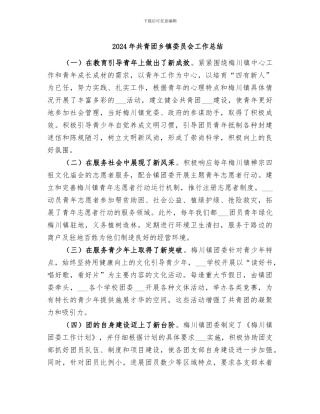 2024年共青团乡镇委员会工作总结