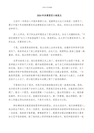 2024年共青团员小结范文