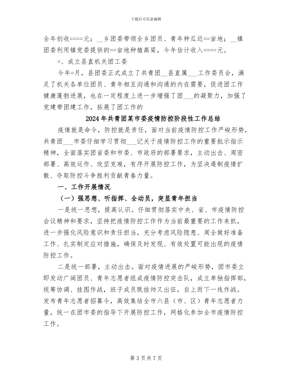 2024年共青团某县委员会某年工作总结_第3页