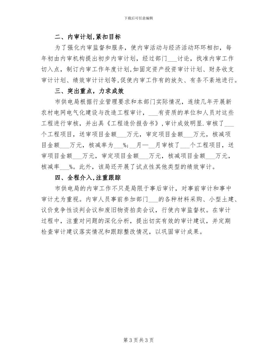 2024年内部审计工作总结模板范文_第3页