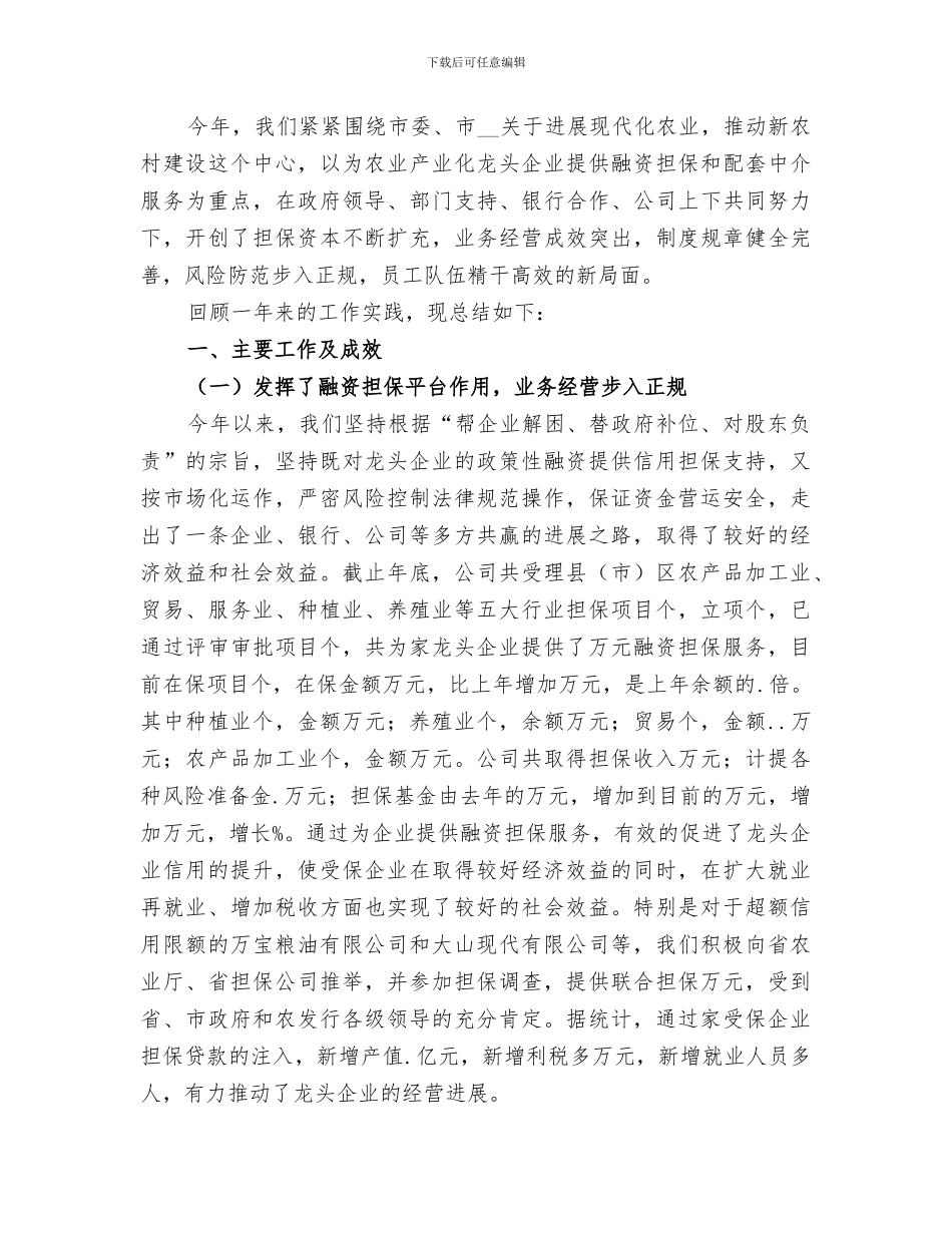 2024年农业信用担保公司年度总结_第2页