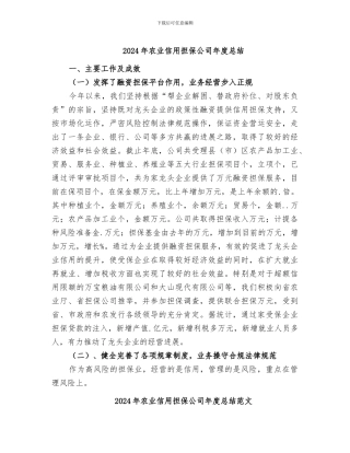 2024年农业信用担保公司年度总结