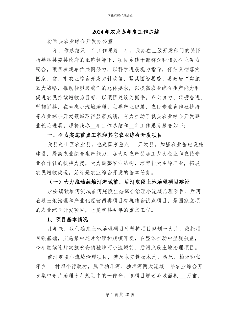 2024年农发办年度工作总结_第1页