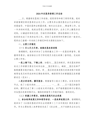 2024年农垦局借调工作总结