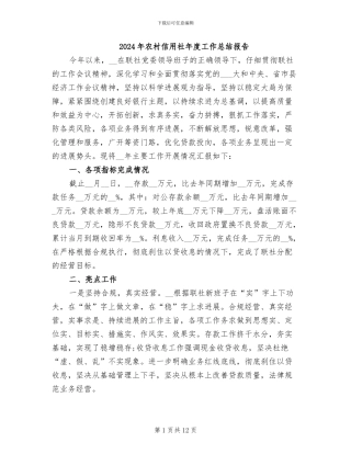 2024年农村信用社年度工作总结报告